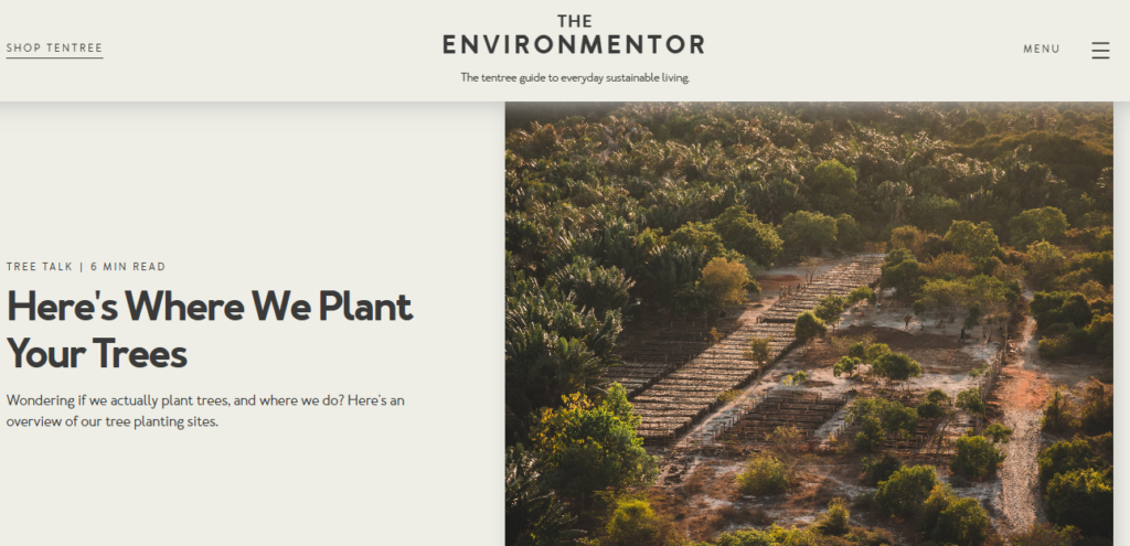 ethical-fashion-brands-tentree-planting-trees-for-every-sale